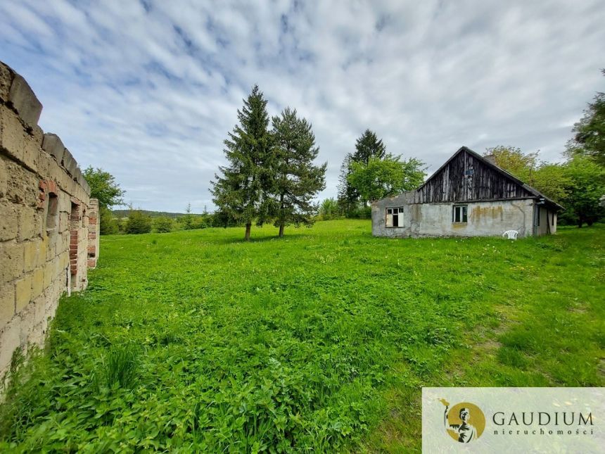 Siedlisko jak z bajki | 3000 m2 Szczodrowo - zdjęcie 1