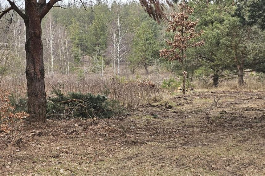 Działka pod zabudowę letniskową - Ruś gm. Morąg miniaturka 9