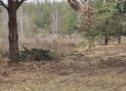 Działka pod zabudowę letniskową - Ruś gm. Morąg miniaturka 9