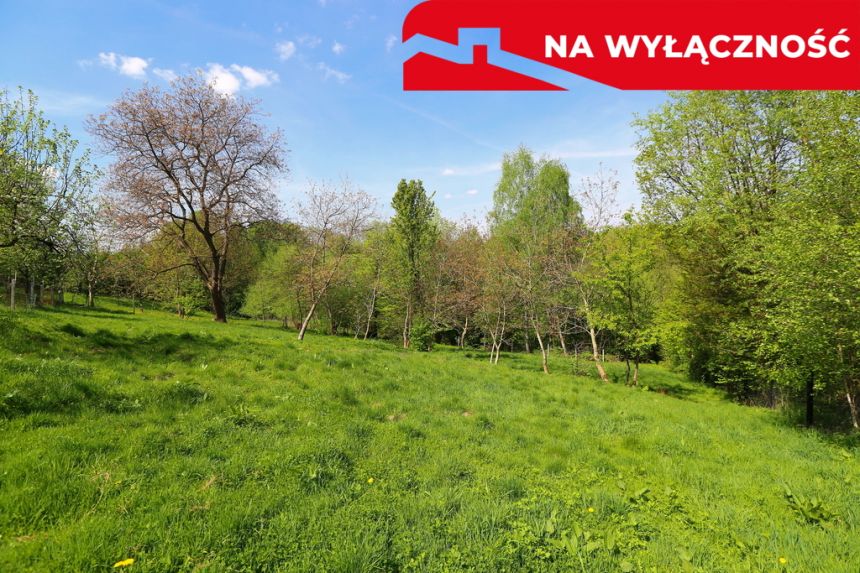 Działka rolno-budowlana z lasem miniaturka 8