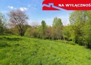 Działka rolno-budowlana z lasem miniaturka 8