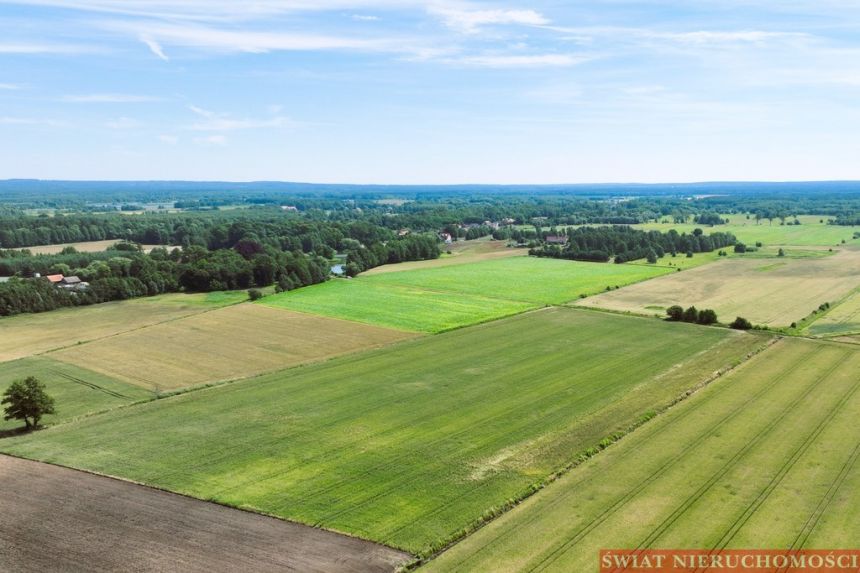 Masłowiec - na trasie Milicz /Trzebnica - ROLNA miniaturka 3