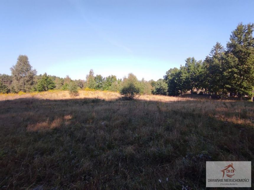 Siemczyno 275 000 zł 1.3 ha miniaturka 4