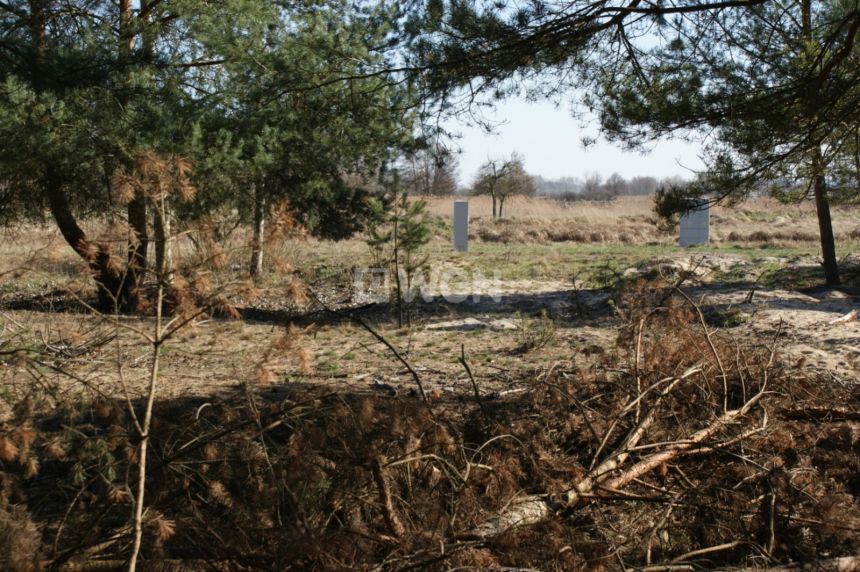 Moszowice, 60 000 zł, 15 ar, droga dojazdowa gruntowa miniaturka 8