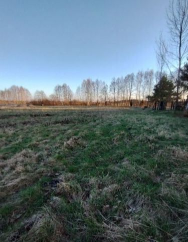 Działka budowlana bez drzew, teren wyrównany.