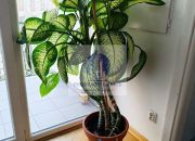Śródmieście: biuro 29 m2 miniaturka 5