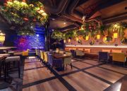 Wyjątkowa, Nowoczesna Restauracja 346 m2 - Orłowo miniaturka 5