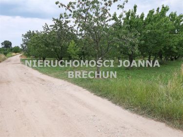 Strzegomiany, 404 000 zł, 80.8 ar, budowlana