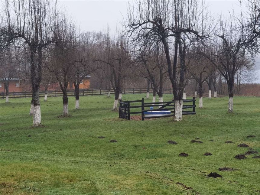 Dom wolnostojący - Salino miniaturka 15