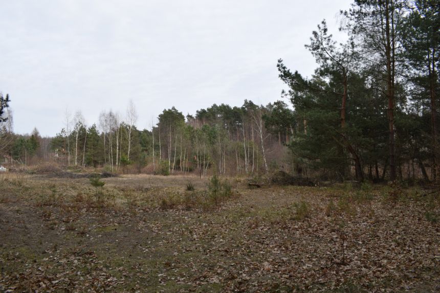 Działki pod budownictwo 13,87a - Wysoka Głogowska miniaturka 3