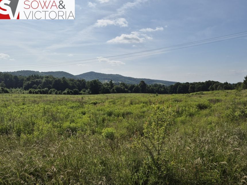 Nowy Julianów. Świetnie skomunikowana działka. miniaturka 2