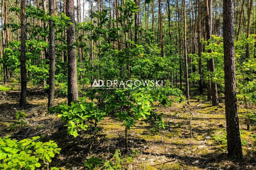 Działka pod dom w piękniej okolicy otoczona lesem miniaturka 8
