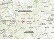  na sprzedaż, Torzym, , 380000.00 PLN miniaturka 3