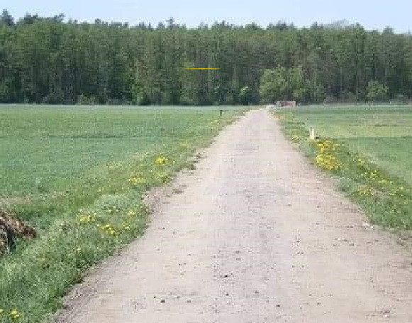 Czołczyn, 258 000 zł, 43 ar, przyłącze prądu miniaturka 4
