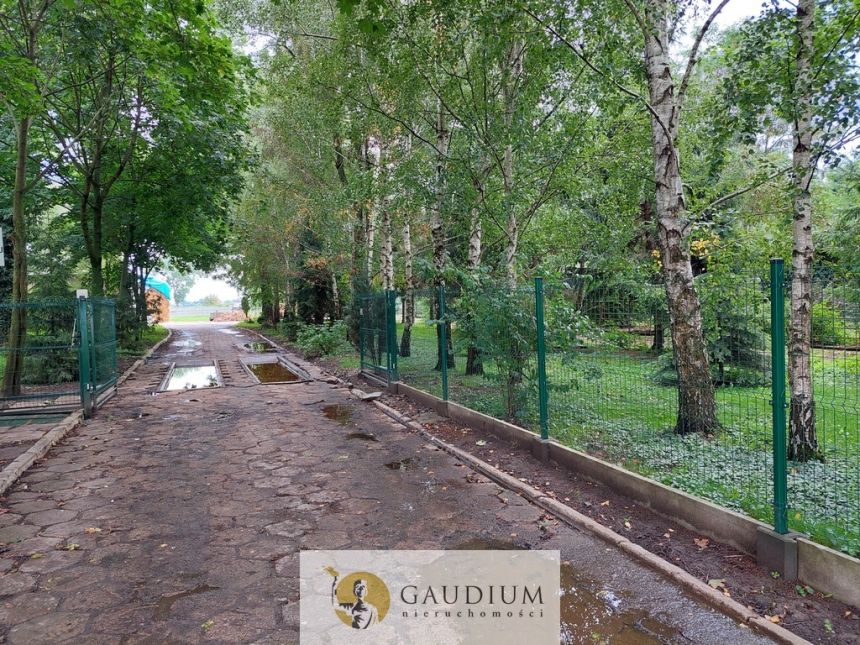 Hala 1500 m2 | Martąg miniaturka 14