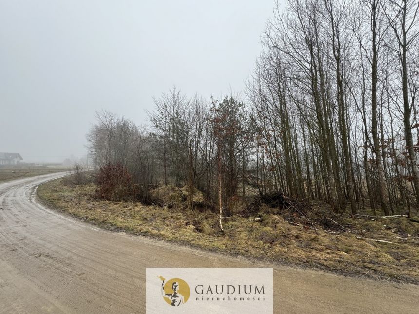 DZIAŁKI KASZUBY 1000 m2 GMINA SZEMUD! miniaturka 3