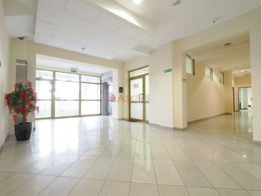 Wrocław Stare Miasto, 2 860 zł, 52 m2, pietro 5, 5