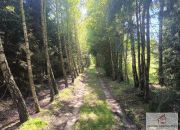 Lubieszewo, 985 000 zł, 54 m2, wolnostojący miniaturka 3