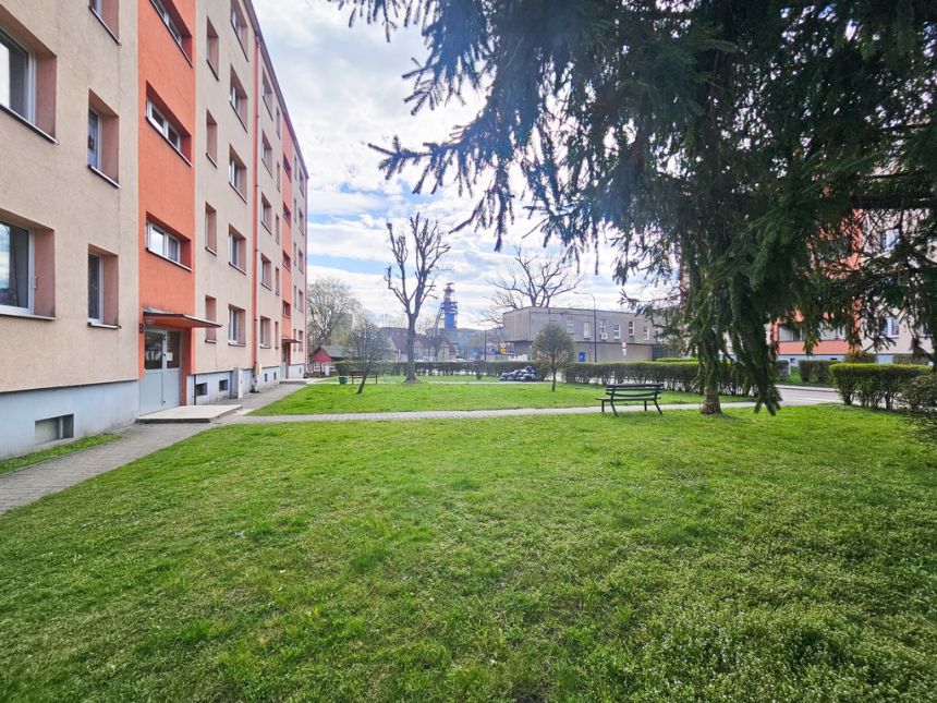 3 duze pokoje, balkon, wszędzie blisko ! miniaturka 12