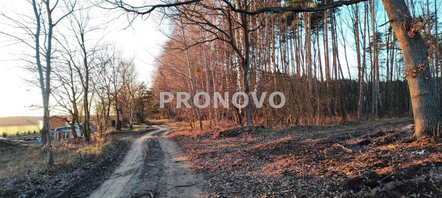 Nieruchomość gruntowa Szczecin Wielgowo Żywiczna miniaturka 12