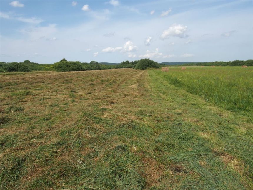 Reda, 1 905 000 zł, 1.27 ha, rolna miniaturka 3