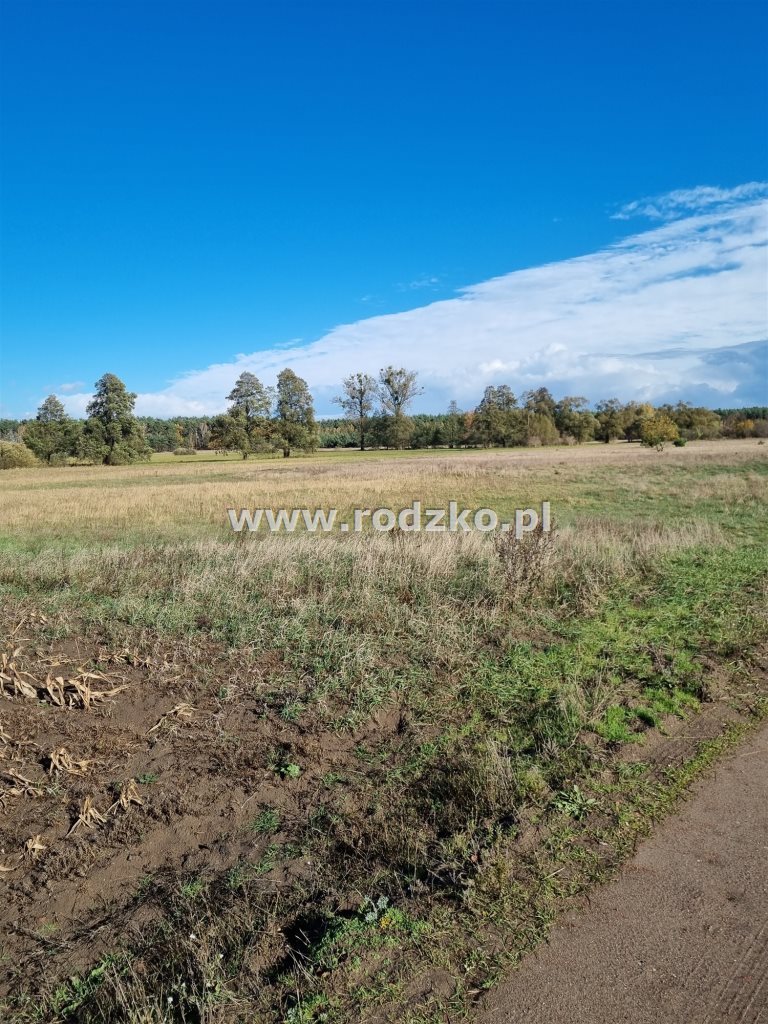 Olimpin, 1 910 000 zł, 3.82 ha, budowlana miniaturka 2