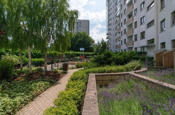 3-pokojowe mieszkanie na Woli miniaturka 13