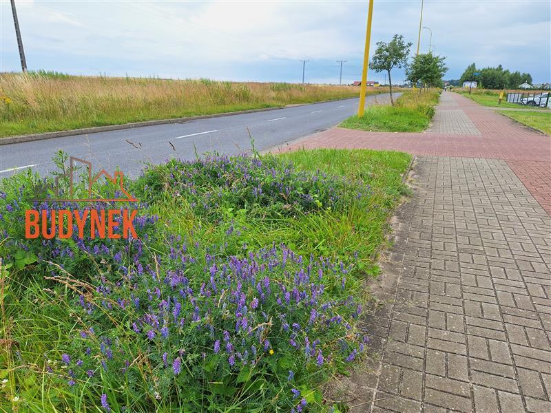 Działka budowlana - Darłowo miniaturka 15