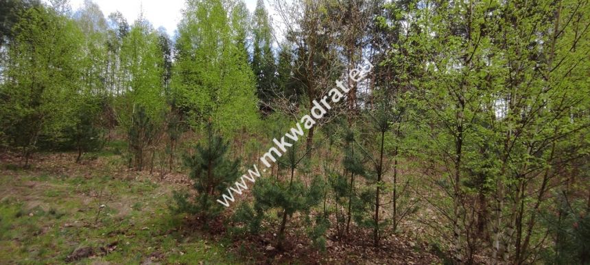 Piękna działka otoczona lasem 2 316 m2, Czarny las miniaturka 3