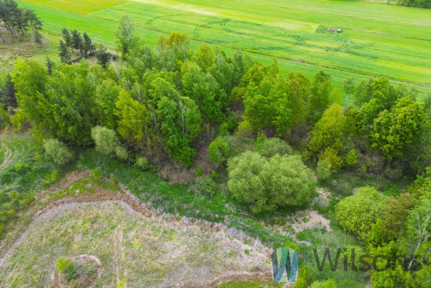 Jasienica, 190 000 zł, 14.81 ar, droga dojazdowa gruntowa miniaturka 10