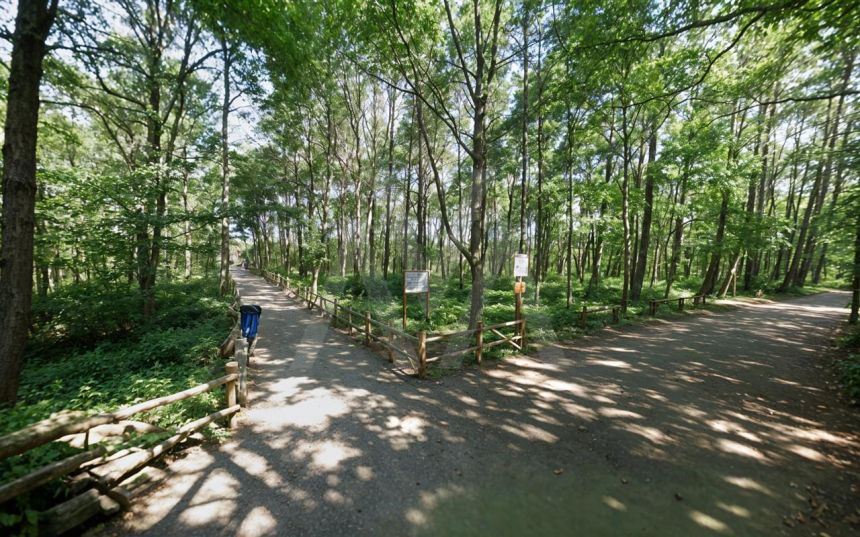 Super działka rolna 1 km od morza i lasu! miniaturka 12