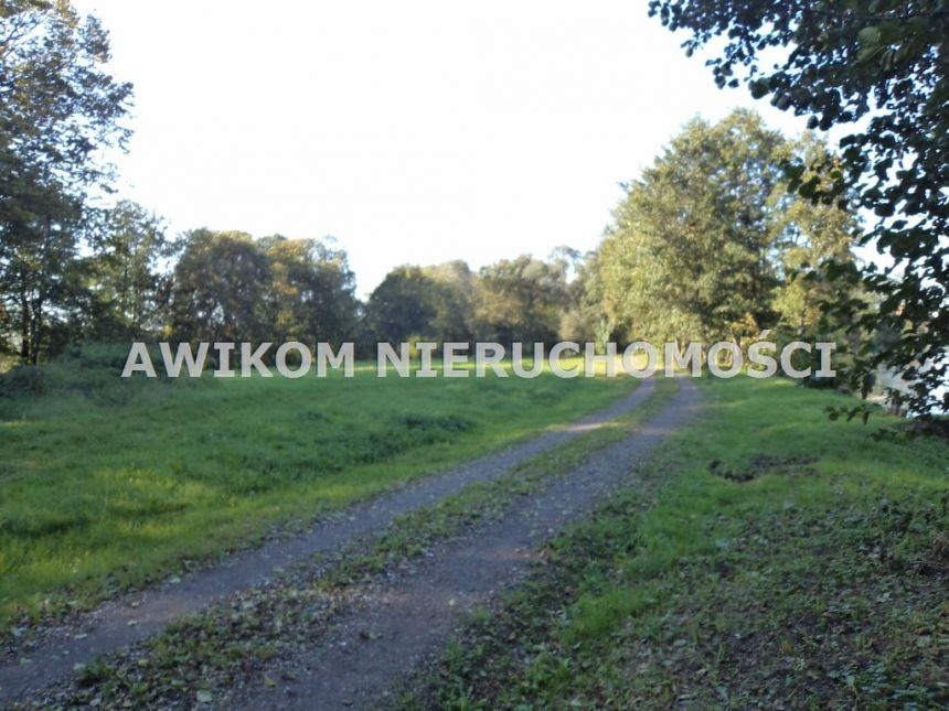 Odrano-Wola, 3 950 000 zł, 5.32 ha, woda w drodze miniaturka 4