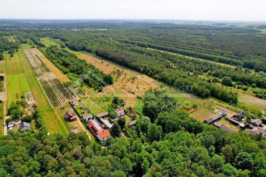 Kazimierz Dolny Siedliskowa Las rekreacja miniaturka 10