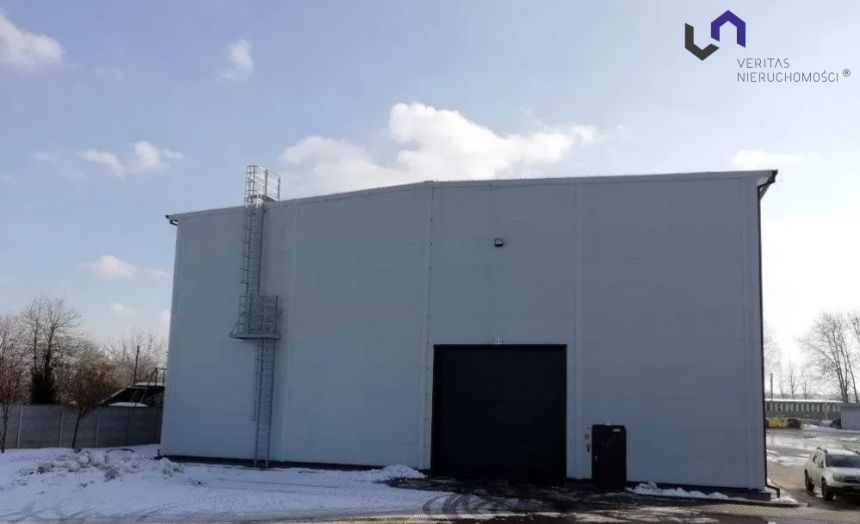 SUWNICA 2 x 12,5T = 25T HALA DO WYNAJĘCIA miniaturka 6