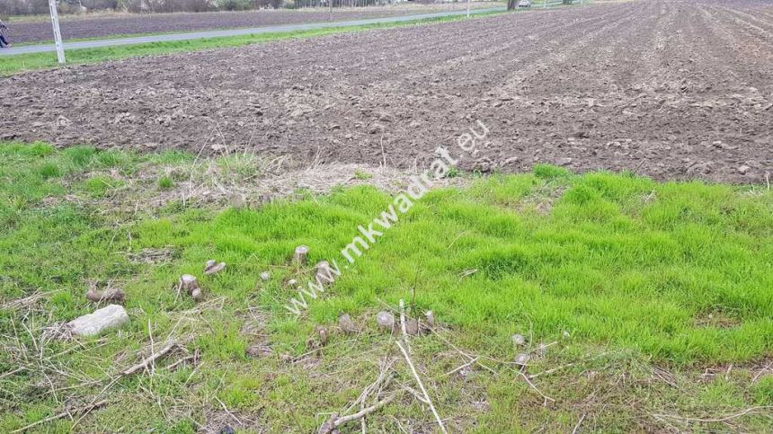 Okazja Działki Leszno k/Błonia miniaturka 9