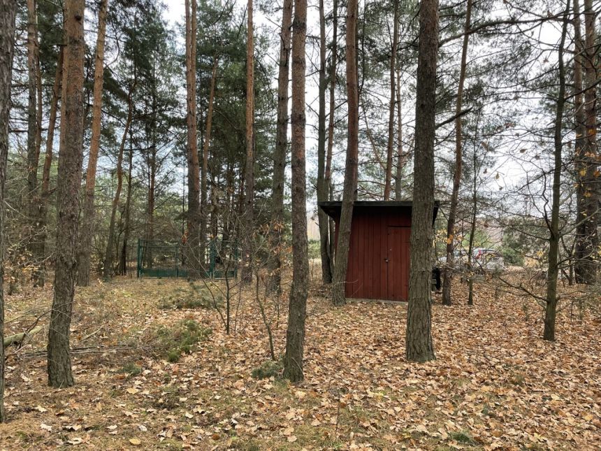 Działka letniskowa z domkiem w lesie 4 km Radzymin miniaturka 13