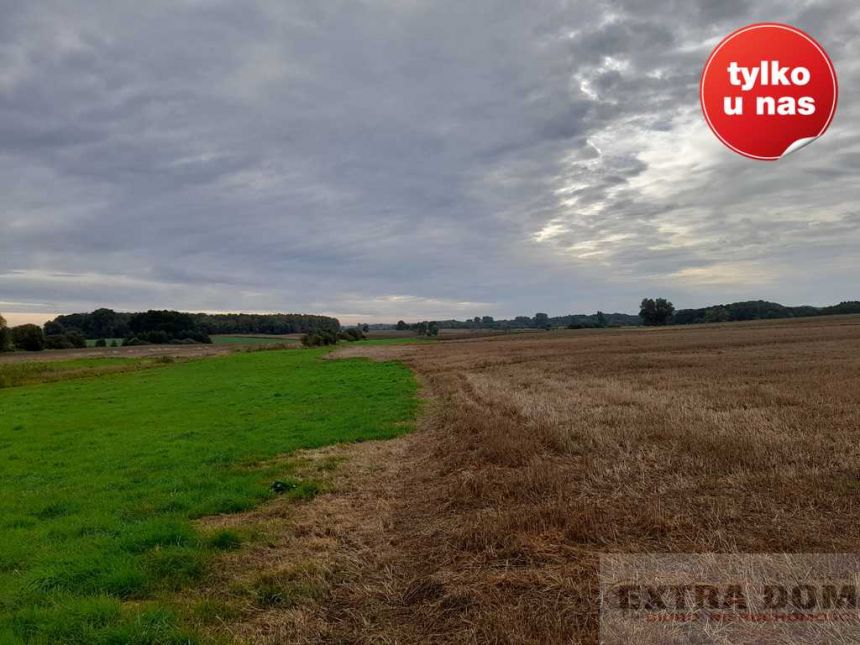 Trzebawie, 380 000 zł, 10.8 ha, droga dojazdowa asfaltowa miniaturka 5