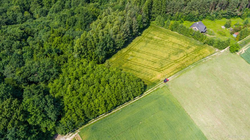 Na sprzedaż: działka 79 arów- Domosławice miniaturka 6