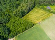 Na sprzedaż: działka 79 arów- Domosławice miniaturka 6
