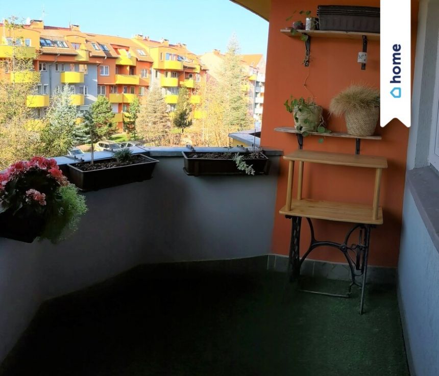 3 pokoje, balkon, piwnica gaj miniaturka 11