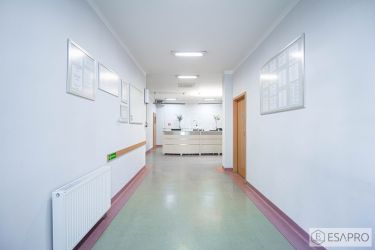 Chełm 7 770 zł 210 m2