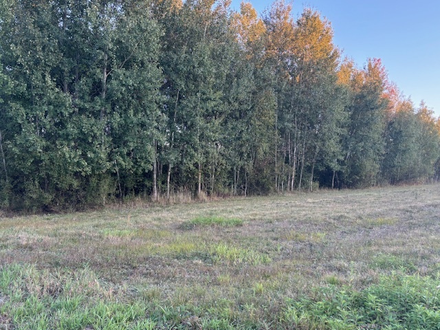 Działka rolna 2ha 20 km od Warszawy blisko S8 miniaturka 4