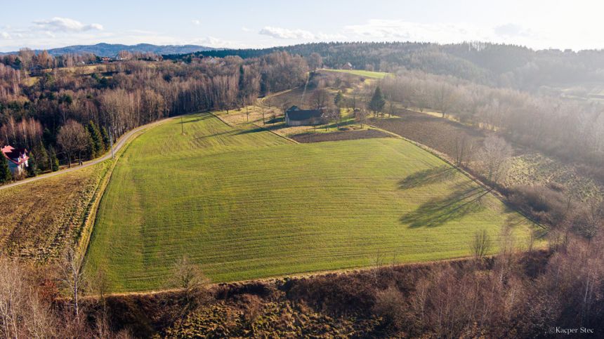 Działka leśna 78,13 ar Tuchów miniaturka 5