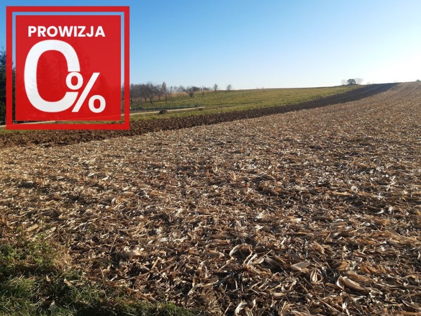 Działka rolno-budowlana bez prowizji od kupującego - zdjęcie 1
