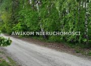 Kornelówka, 400 000 zł, 1.85 ha, droga dojazdowa asfaltowa miniaturka 3