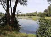 Piękny Apartament w uroczej, zielonej okolicy Krakowska /Przedmieście Oławskie miniaturka 7