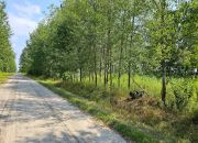 Działka blisko Lasów Kozłowieckich,  Nowodwór miniaturka 11