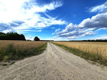 Działki rolne, Leszkowice, gm. Ostrówek