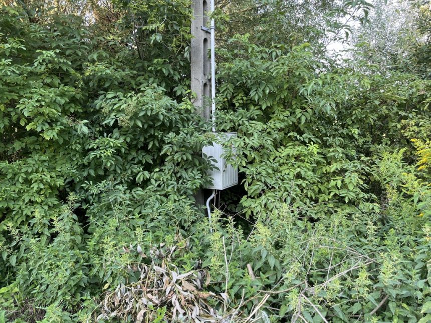 Duża działka 2,9 ha w Jabłonowie gm. Policzna. miniaturka 8