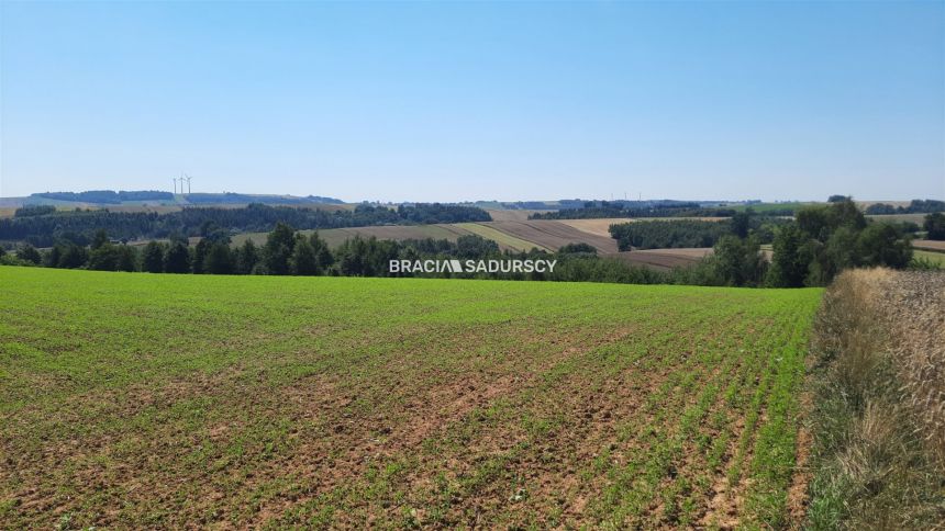 Działka rolna 1,5 ha w Brzuchani pod Miechowem! - zdjęcie 1